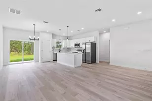 225 Malauka Run N, Ocklawaha, FL 32179 - Photo 9