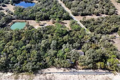 344 W Ponkan Road, Apopka, FL 32712 - Photo 9