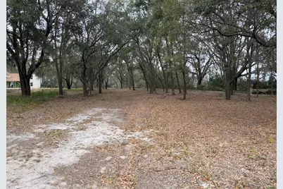 Florida Boys Ranch Road, Groveland, FL 34736 - Photo 15