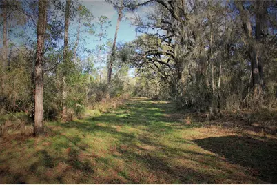 Cr 772B, Webster, FL 33597 - Photo 23