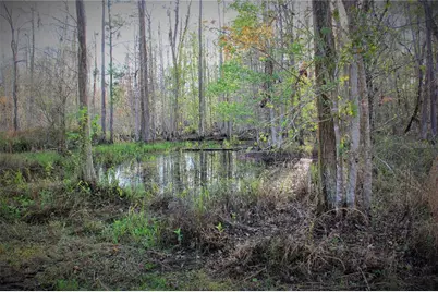 Cr 772B, Webster, FL 33597 - Photo 25