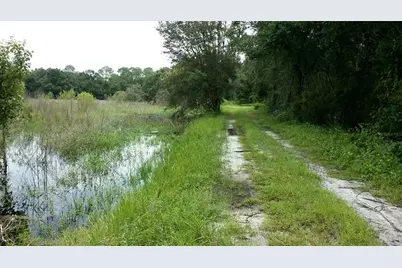 Cr 772B, Webster, FL 33597 - Photo 21