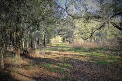 Cr 772B, Webster, FL 33597 - Photo 1