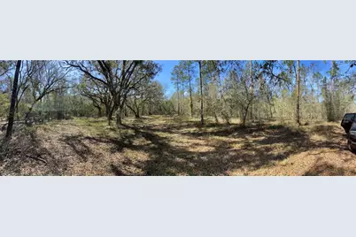 Cr 772B, Webster, FL 33597 - Photo 15