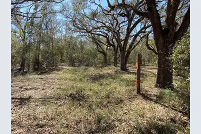 Cr 772B, Webster, FL 33597 - Photo 13