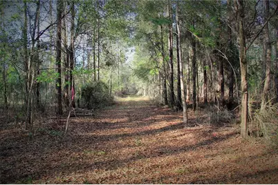 Cr 772B, Webster, FL 33597 - Photo 7