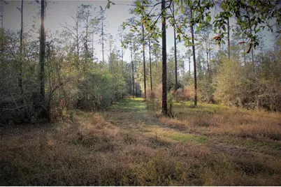 Cr 772B, Webster, FL 33597 - Photo 11