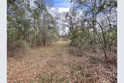 Cr 772B, Webster, FL 33597 - Photo 17