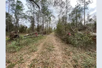 Cr 772B, Webster, FL 33597 - Photo 19