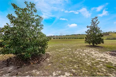 3632 Solana Circle #B, Clermont, FL 34711 - Photo 3