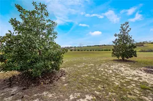 3632 Solana Cir, Clermont, FL 34711 - Photo 3