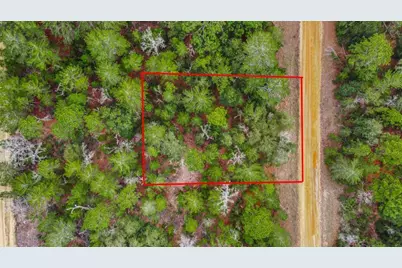 118 Cardinal Street, Interlachen, FL 32148 - Photo 7