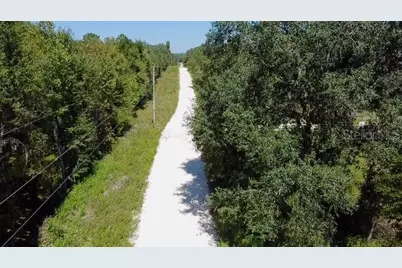 Ne 110th Court, Williston, FL 32696 - Photo 5