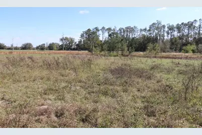 Cr 48, Bushnell, FL 33513 - Photo 7