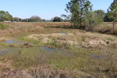Cr 48, Bushnell, FL 33513 - Photo 13