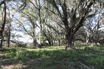 Cr 48, Bushnell, FL 33513 - Photo 1