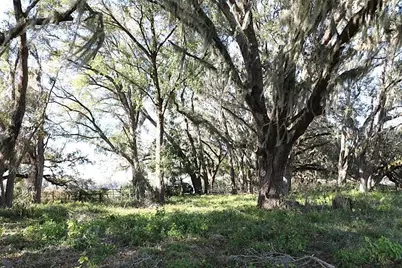 Cr 48, Bushnell, FL 33513 - Photo 19