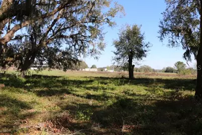 Cr 48, Bushnell, FL 33513 - Photo 13