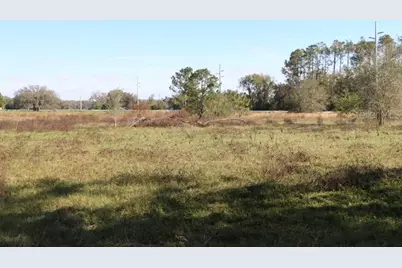 Cr 48, Bushnell, FL 33513 - Photo 5
