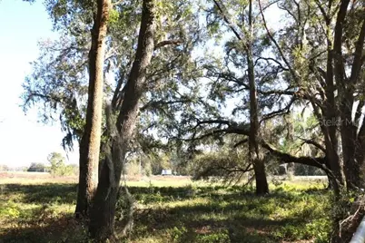 Cr 48, Bushnell, FL 33513 - Photo 15