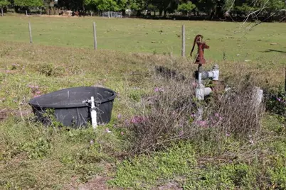 Cr 48, Bushnell, FL 33513 - Photo 3