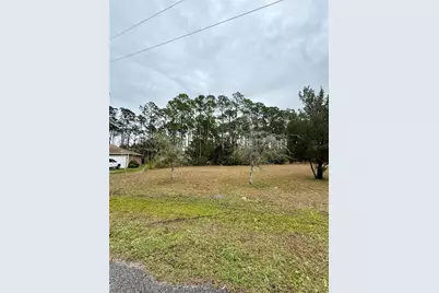 245 Ullian Trail, Palm Coast, FL 32164 - Photo 3