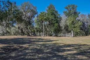 17482 SE 34th Ln, Ocklawaha, FL 32179 - Photo 59