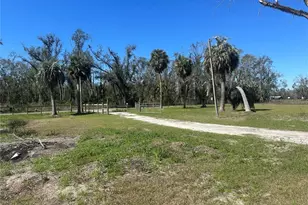 13220 225th Rd, Live Oak, FL 32060 - Photo 31