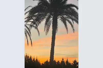 228 Broken Woods Boulevard, Davenport, FL 33837 - Photo 51