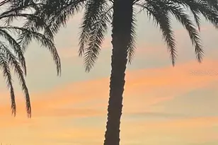 228 Broken Woods Blvd, Davenport, FL 33837 - Photo 51