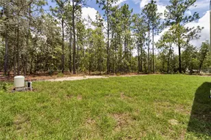 8459 SW 138th Terrace, Dunnellon, FL 34432 - Photo 23