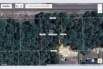 6562 W Whispering Drive, Dunnellon, FL 34434 - Photo 3