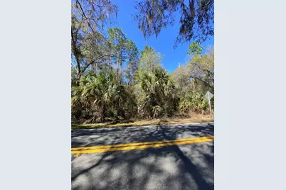 2519 W Plumtree Lane, Dunnellon, FL 34433 - Photo 3