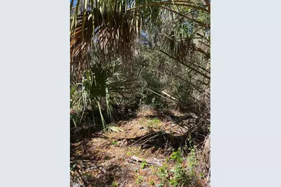 2519 W Plumtree Lane, Dunnellon, FL 34433 - Photo 1