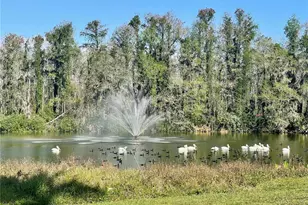 13827 Fairway Island Dr, Orlando, FL 32837 - Photo 17