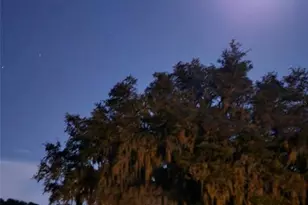 41204 Emeralda Island Rd, Leesburg, FL 34788 - Photo 53