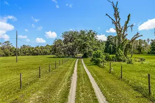 41204 Emeralda Island Rd, Leesburg, FL 34788 - Photo 3