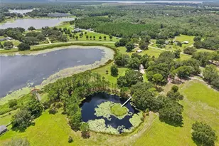 40610 Babb Rd, Umatilla, FL 32784 - Photo 1