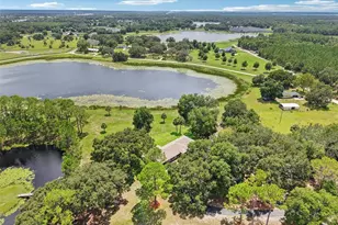 40610 Babb Rd, Umatilla, FL 32784 - Photo 3