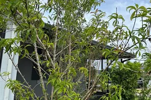 11810 Imaginary Way, Orlando, FL 32832 - Photo 45