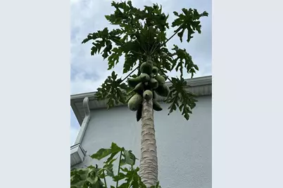 11810 Imaginary Way, Orlando, FL 32832 - Photo 43