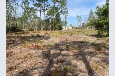 Ne 12th St, Williston, FL 32696 - Photo 3