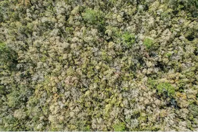 Illinois Avenue, Deltona, FL 32738 - Photo 13