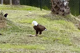 372 Rest Haven Rd, Geneva, FL 32732 - Photo 63