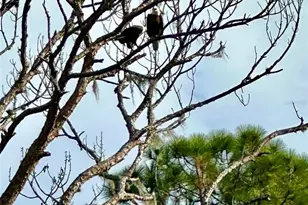 372 Rest Haven Rd, Geneva, FL 32732 - Photo 65