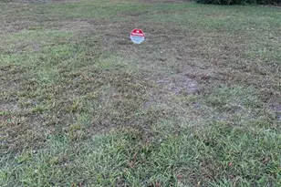 Cocoa Ct, Kissimmee, FL 34758 - Photo 1