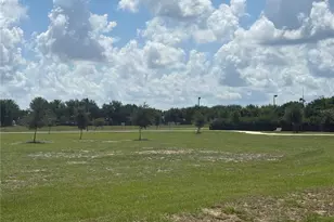 11926 Verrazano Dr, Orlando, FL 32836 - Photo 41