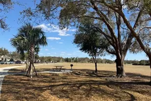 11926 Verrazano Dr, Orlando, FL 32836 - Photo 55