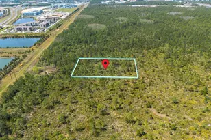 Sr-535, Orlando, FL 32821 - Photo 1