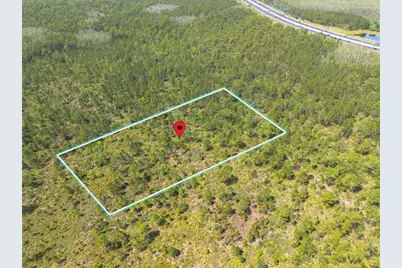 Sr-535, Orlando, FL 32821 - Photo 5